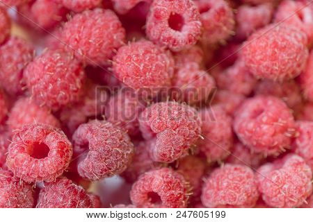 Background Texture Of Raspberry Frozen. Close-up Photo.