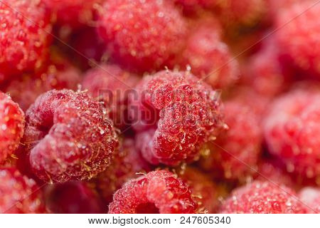 Background Texture Of Dripping Raspberry. Close-up Photo.