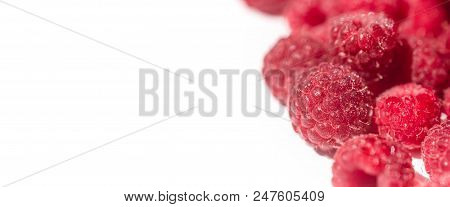 Dripping Raspberry On White Background. Close-up Photo.