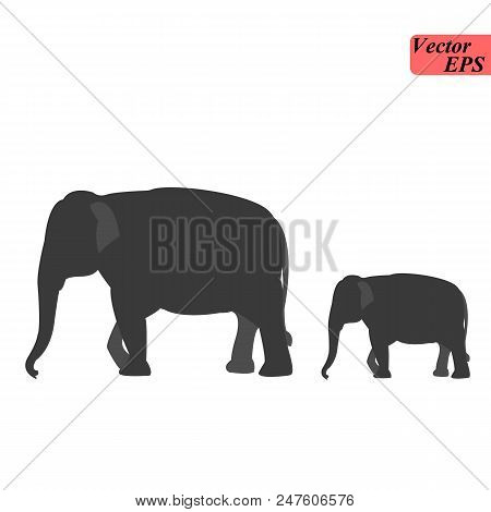 Silhouette Of Elephant With Baby Elephant. Cow Elephant With Young Elephant Eps 10