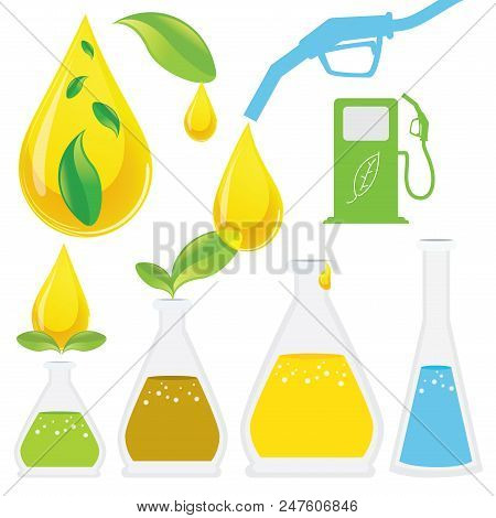 Biodiesel Production Process. It Is Renewable And Natural Domestic Fuel Extracted From Animal Fats O