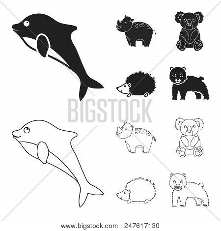 Rhino, Koala, Panther, Hedgehog.animal Set Collection Icons In Black, Outline Style Vector Symbol St