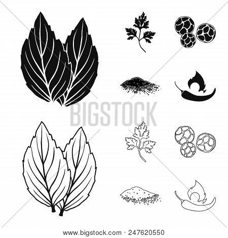 Ptrushka, Black Pepper, Paprika, Chili.herbs And Spices Set Collection Icons In Black, Outline Style