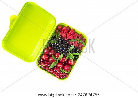 Berry Mix: Cherry, Red And Black Currant, Raspberry In A Light Green Container.