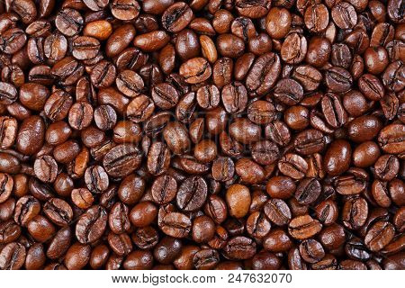 Texture Of Gourmet Coffee. High Resolution Photo.