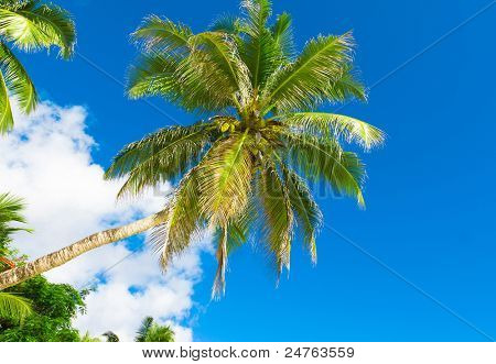 Parco giardino Wilds