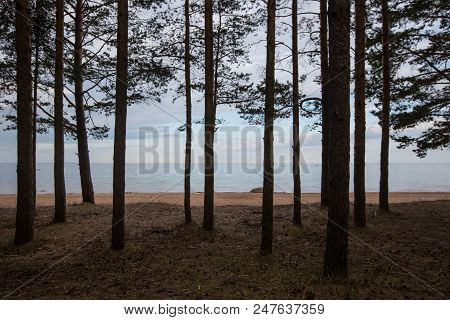 Baltic Sea, Gulf Of Finland