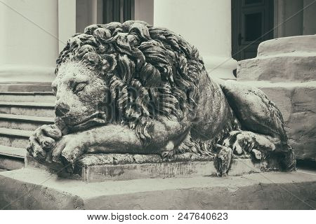 Old Vintage Stone Lion On Steps Of The Old Building.