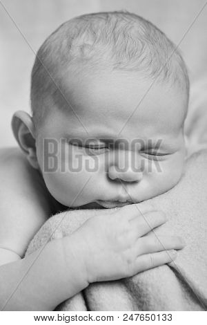 Portrait Of Newborn Baby Lying On The Hands Of Parents. The Concept Of Newborn Health