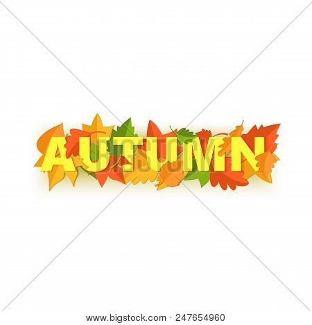 Word Autumn Composition With Green Yellow Red Leaves On White Background In Paper Cut Style. Fall Le
