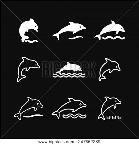 Dolphin Vector Icon For Animal Apps And Websites