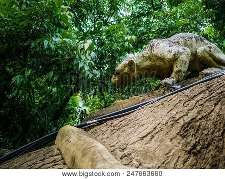 Golden Jaguar Tiger Statue On The Big Lumber ,electronic Wire On The Lumber,old And Broken Tiger Sta