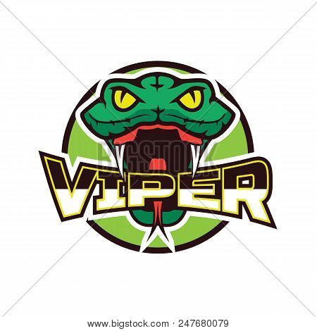 Snake Logo For Your Business, Vector Illustration