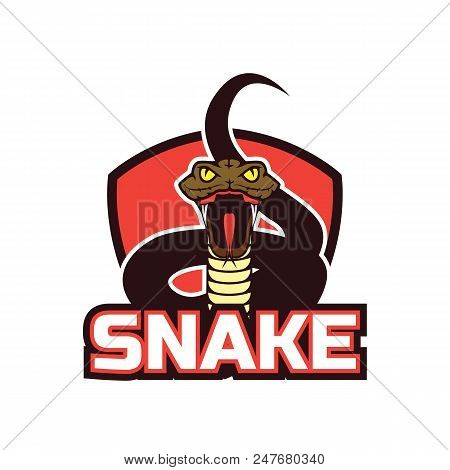 Snake Logo For Your Business, Vector Illustration