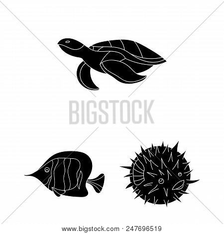 A Variety Of Marine Animals Black Icons In Set Collection For Design. Fish And Shellfish Vector Symb