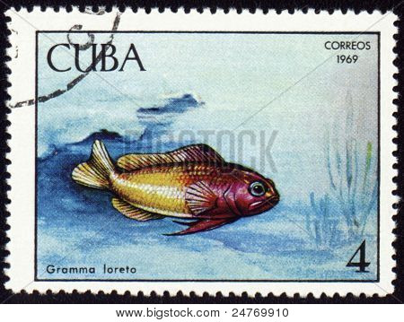 Fisch Gramma Loreto auf Post Briefmarke
