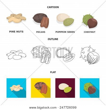 Pecan, Pine Nut, Pumpkin Seeds, Chestnut.different Kinds Of Nuts Set Collection Icons In Cartoon, Ou