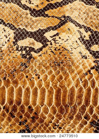 lederen textuur close-up voor achtergrond- en werken