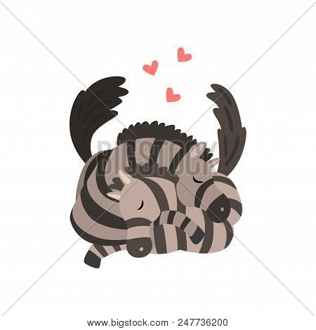 Couple Of Zebras In Love Embracing Each Other, Two Happy  Aniimals Hugging With Hearts Over Their He
