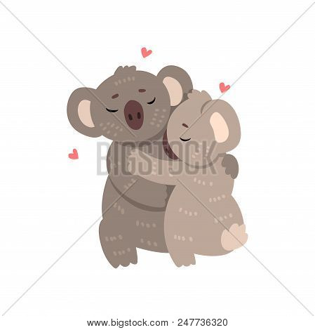 Couple Of Cute Koalas In Love Embracing Each Other, Two Happy  Aniimals Hugging With Hearts Over The