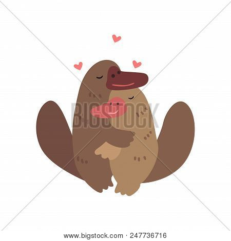 Couple Of Platypuses In Love Embracing Each Other, Two Happy  Aniimals Hugging With Hearts Over Thei