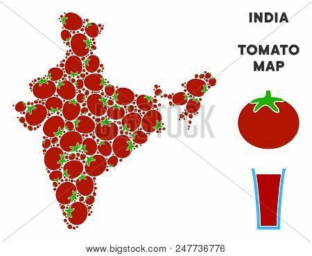 India Map Collage Of Tomato In Various Sizes. Vector Tomato Vegetable Elements Are Combined Into Ind