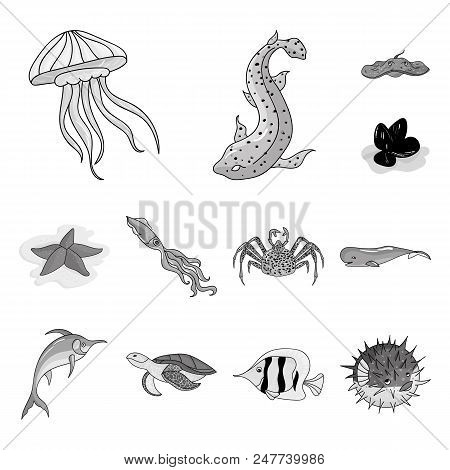 A Variety Of Marine Animals Monochrome Icons In Set Collection For Design. Fish And Shellfish Vector