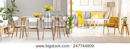 Real Photo Of A Table With Four Chairs Standing In Living Room Interior With A Couch, Table, Lamp An