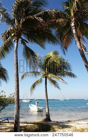 Tropical Seascape, Palm Trees, Beach, Water And The Boat