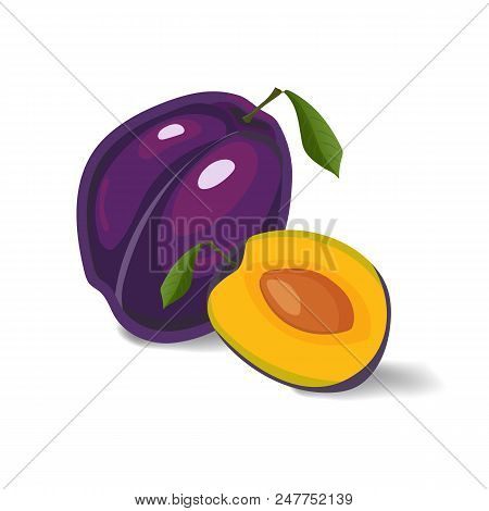 Plum Isolated On A White Background. Colorful Illustration Of Whole Plum With Green Leaf And A Half 