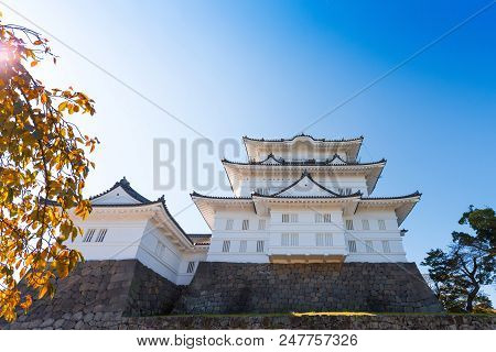 Odawara Castle Is A Hirayama-style Japanese Castle In Odawara, Japan. Copy Space For Text.