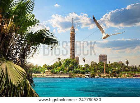 Tv Tower Near Nile In Cairo At Sunlight