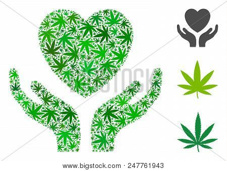 Love Heart Care Hands Composition Of Hemp Leaves In Variable Sizes And Green Variations. Vector Flat