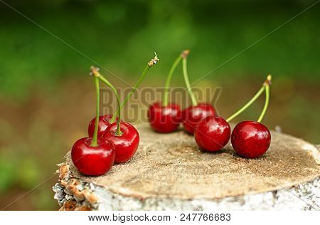 Red Ripe Cherry On A Background Of Trees And The Sun