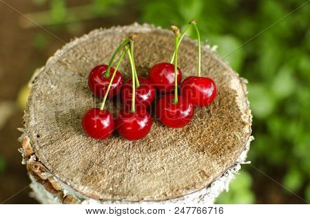 Red Ripe Cherry On A Background Of Trees And The Sun