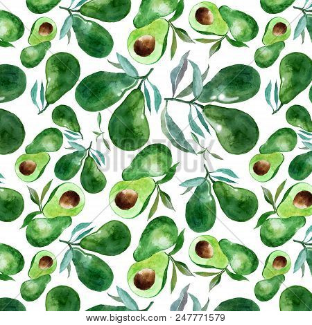 Avocado Pattern Watercolor. Collection Of Exotic Fruit.