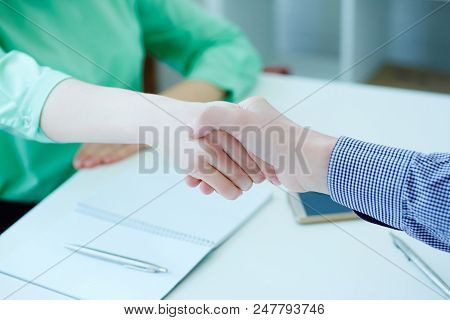 Male And Female Handshake In Office. Serious Business And Partnership Concept. Partners Made Deal, S