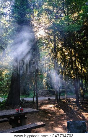 Impression From The Campsite At La Wis Wis, Along The Cowlitz River. Near Mount Rainier National Par