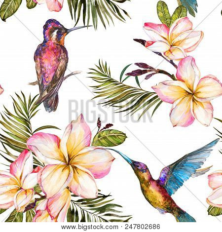 Beautiful Colorful Colibri, Plumeria Flowers And Palm Leaves On White Background. Exotic Tropical Se