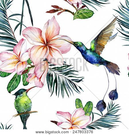 Beautiful Colorful Colibri And Pink Plumeria Flowers On White Background. Exotic Tropical Seamless P