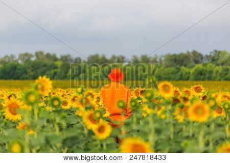 Man in orange clother in sunner sunflowers field