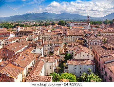 Aerial view of Lucca old town with mediterranean terracotta roof buildings on narrow streets, Tuscany, Italy