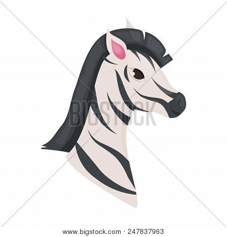 Zebra Animal Isolated On White Africa Character Vector Illustration. Wild Zoo Safari Black White Str