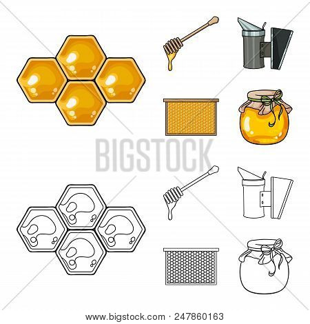 A Frame With Honeycombs, A Ladle Of Honey, A Fumigator From Bees, A Jar Of Honey.apiary Set Collecti