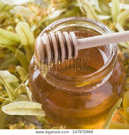 Glass Jar Of Honey On The Background Of Linden Blossoms