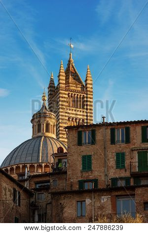 Siena Cathedral, Santa Maria Assunta 1220-1370 And Old Houses. Toscana (tuscany), Italy, Europe