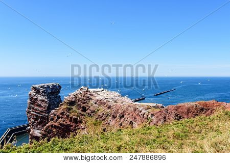 Lange Anna Sea Stack Rock On Helgoland Island Against Blue Sea And Clear Sky