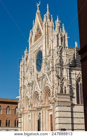 Detail Of The Facade Of The Siena Cathedral, Santa Maria Assunta, 1220-1370. Toscana (tuscany), Ital