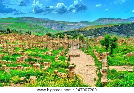 Berbero-roman Ruins At Djemila. Unesco World Heritage In Algeria