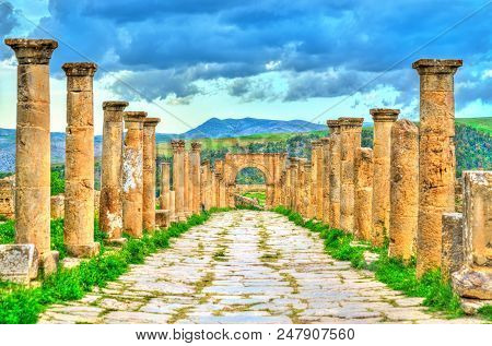 Berbero-roman Ruins At Djemila. Unesco World Heritage In Algeria